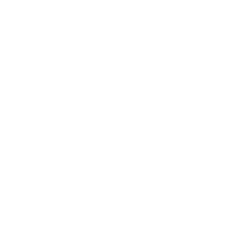 Terrain